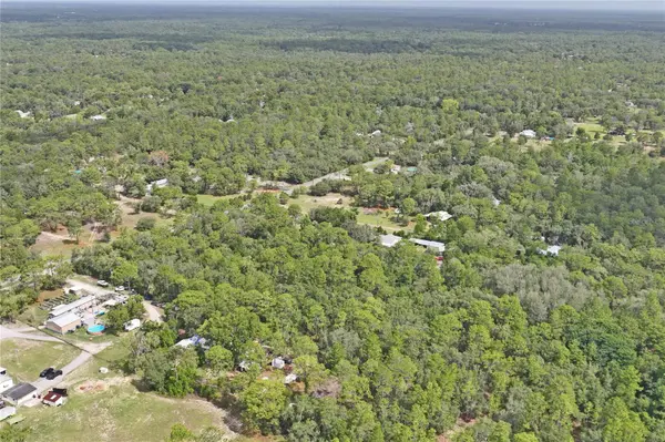 6591 S CANNA LILY AVE, Homosassa, FL 34446