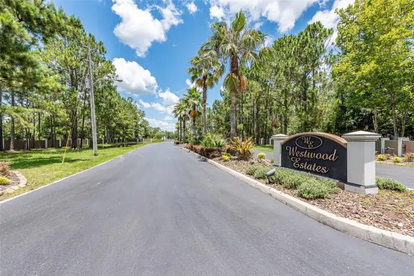 8616 SPRING FOREST LN, Wesley Chapel, FL 33544
