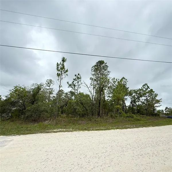 11200 MARVELWOOD RD, Weeki Wachee, FL 34614