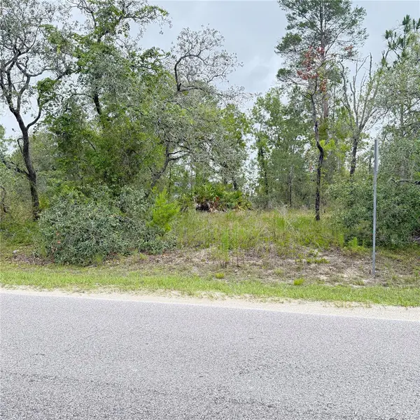 11200 MARVELWOOD RD, Weeki Wachee, FL 34614