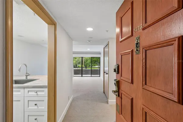 36750 US HIGHWAY 19 N #11206, Palm Harbor, FL 34684