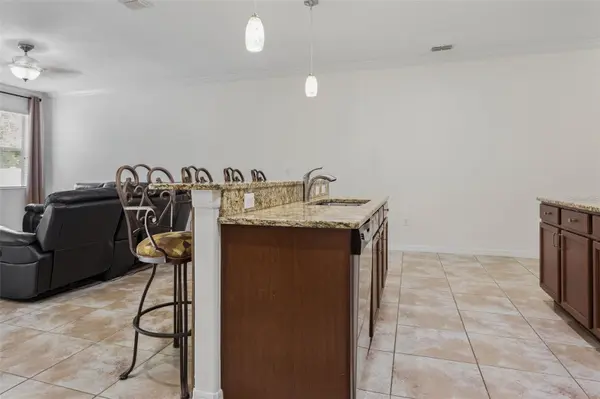 20220 POND APPLE LN, Tampa, FL 33647
