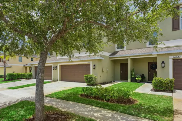 20220 POND APPLE LN, Tampa, FL 33647