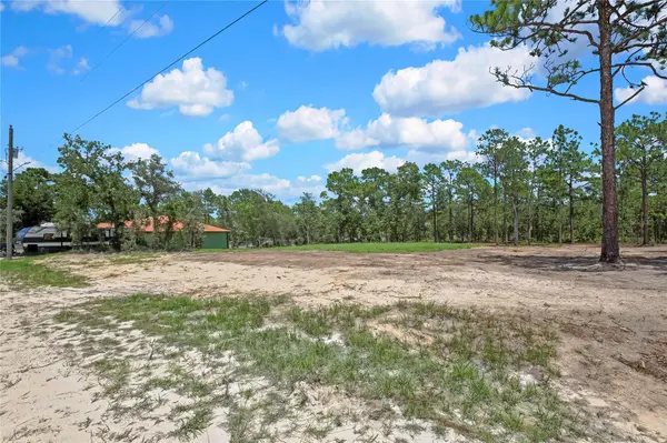16126 MEDRICK RD, Brooksville, FL 34614