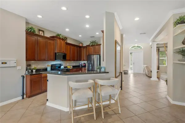 19908 BLUFF OAK BLVD, Tampa, FL 33647