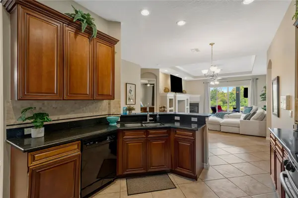 19908 BLUFF OAK BLVD, Tampa, FL 33647