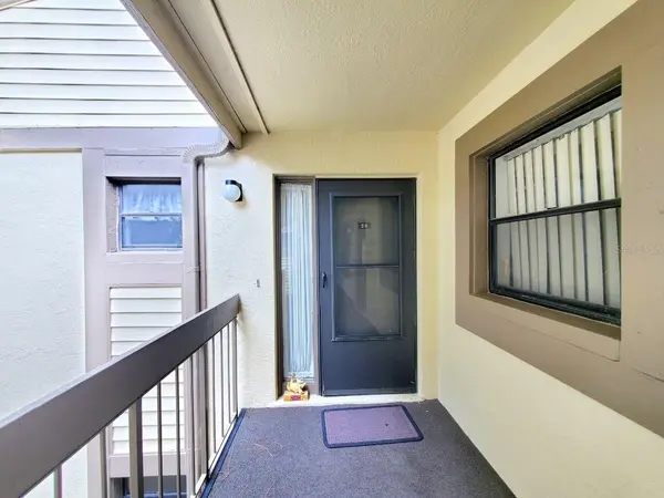 20 WOODLAKE PL #20, Oldsmar, FL 34677