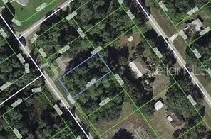 445 PERSHING AVE, Lake Placid, FL 33852
