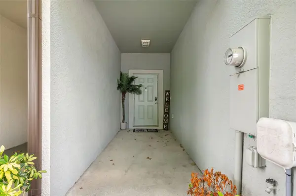 7627 FRENCH MARIGOLD AVE, Tampa, FL 33619