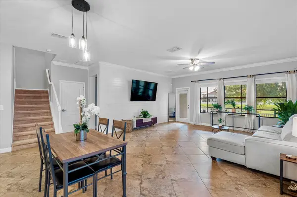 19343 PADDOCK VIEW DR, Tampa, FL 33647
