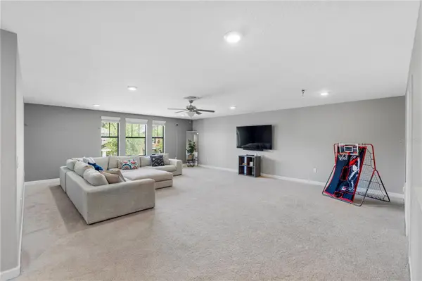 19343 PADDOCK VIEW DR, Tampa, FL 33647