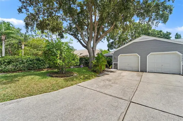 3174 PHLOX DR, Palm Harbor, FL 34684