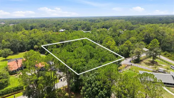 RAVEN BROOK RD, Wesley Chapel, FL 33544