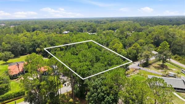 RAVEN BROOK RD, Wesley Chapel, FL 33544