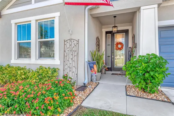 7213 TALAMORE DR, Wesley Chapel, FL 33545