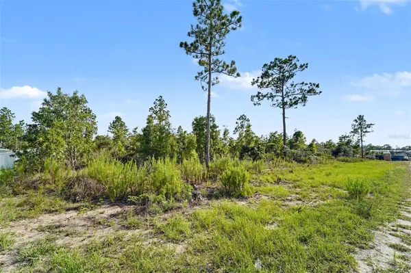 0 SCISSORBILL AVE, Weeki Wachee, FL 34614