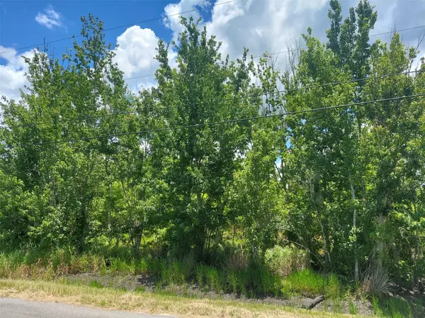 5410 BOB SMITH AVE, Plant City, FL 33565