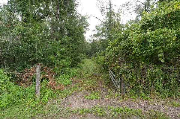 13205 S CRATER TER, Floral City, FL 34436