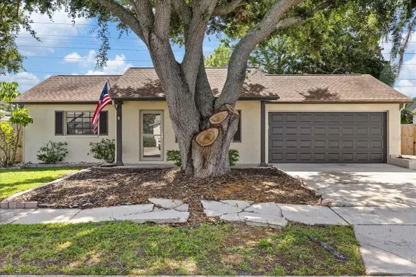 1310 MANDARIN DR, Holiday, FL 34691