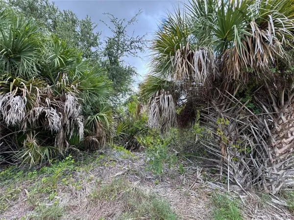13224 KITCHENER AVE, Port Charlotte, FL 33981