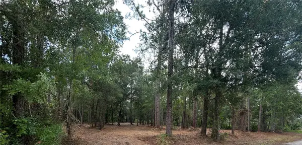 WESTPOINT DR, Wesley Chapel, FL 33544