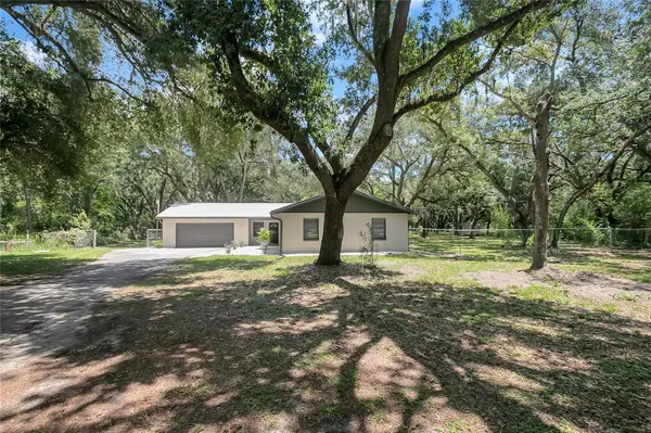 1609 ITCHEPACKESASSA DR, Lakeland, FL 33810