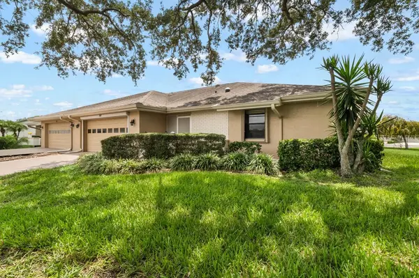 1317 LELAND DR, Sun City Center, FL 33573
