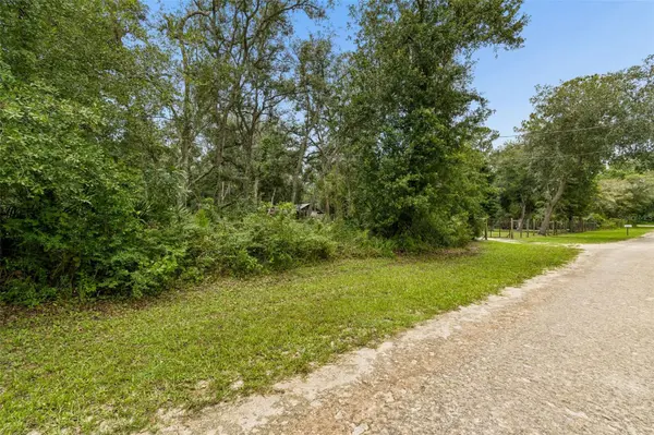 35314 GOETHALS ST, Webster, FL 33597