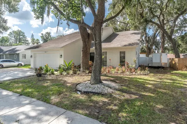 1901 LANDSIDE DR, Valrico, FL 33594