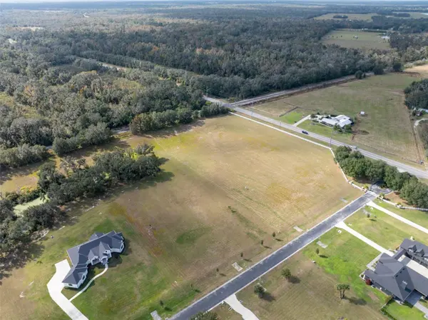 103 ALAFIA ESTATES LN, Plant City, FL 33567