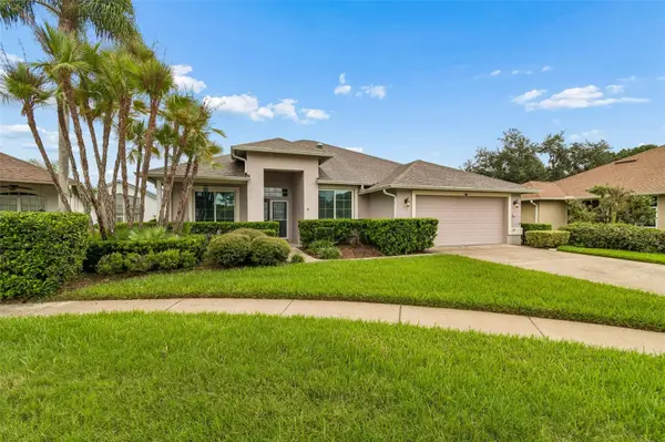 5306 WATERLEAF CT, Valrico, FL 33596
