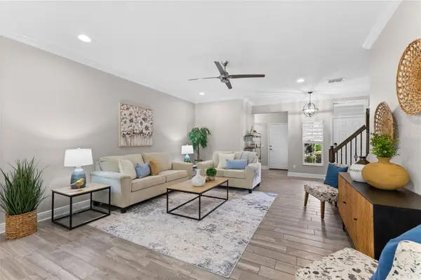 11458 CROWNED SPARROW LN, Tampa, FL 33626