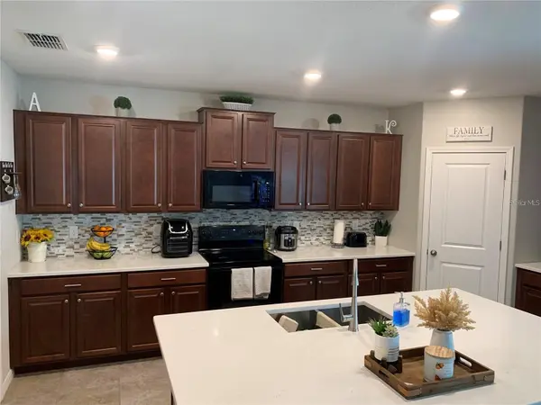 10460 CARLOWAY HILLS DR, Wimauma, FL 33598