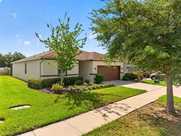 11411 TANGLE BRANCH LN, Gibsonton, FL 33534