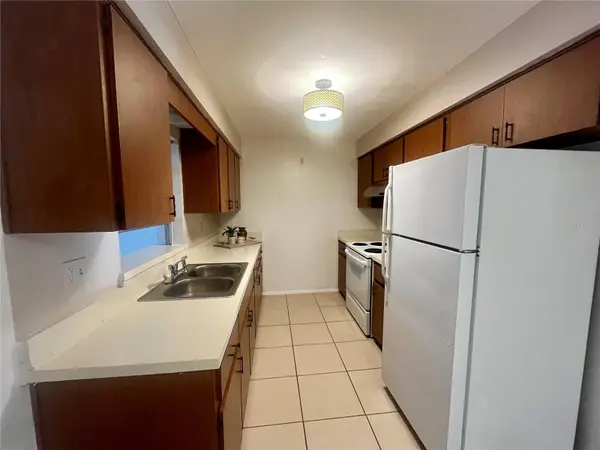 705 BAYOU AVE, Tarpon Springs, FL 34689