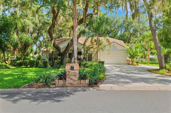 2770 BUCKHORN OAKS DR, Valrico, FL 33594