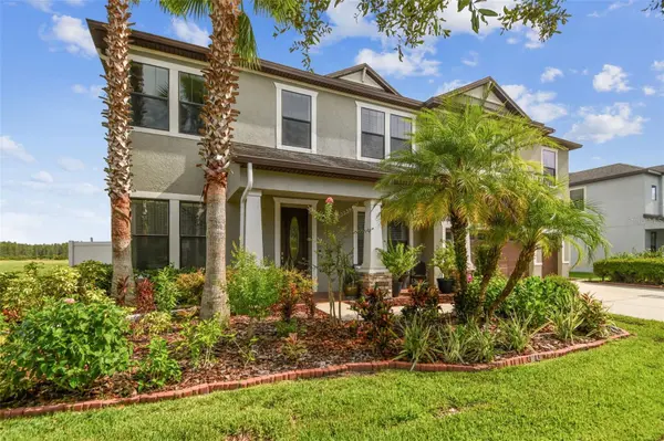 10627 MISTFLOWER LN, Tampa, FL 33647