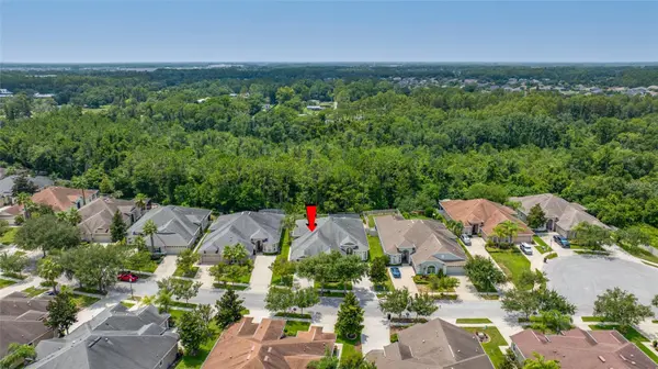 2923 DEVONOAK BLVD, Land O Lakes, FL 34638