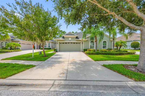 2923 DEVONOAK BLVD, Land O Lakes, FL 34638