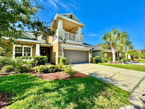 8828 TROPICAL PALM DR, Tampa, FL 33626