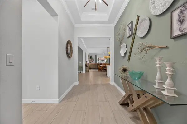 17219 SCUBA CREST ST, Wimauma, FL 33598