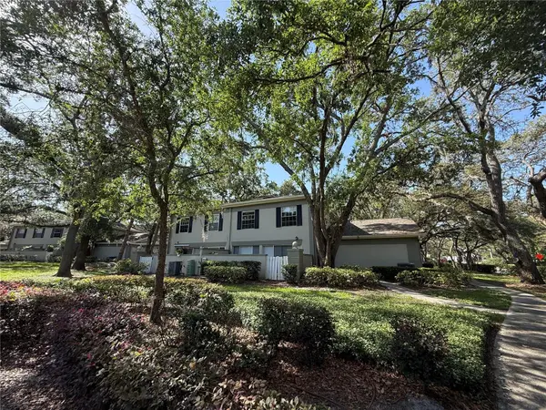 6206 DEWDROP WAY, Temple Terrace, FL 33617