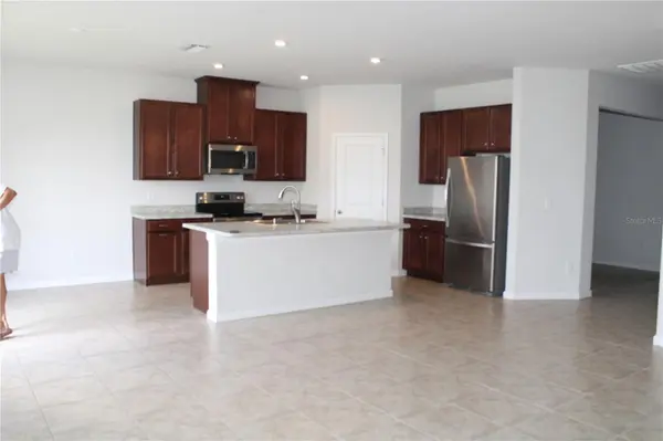 18337 FALLING PINE NEEDLE LN, Land O Lakes, FL 34638