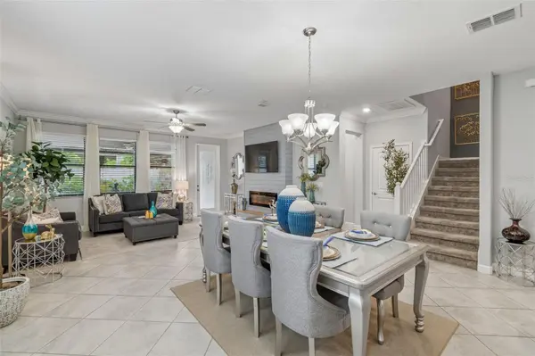 11002 LITTLE BLUE HERON DR, Riverview, FL 33579