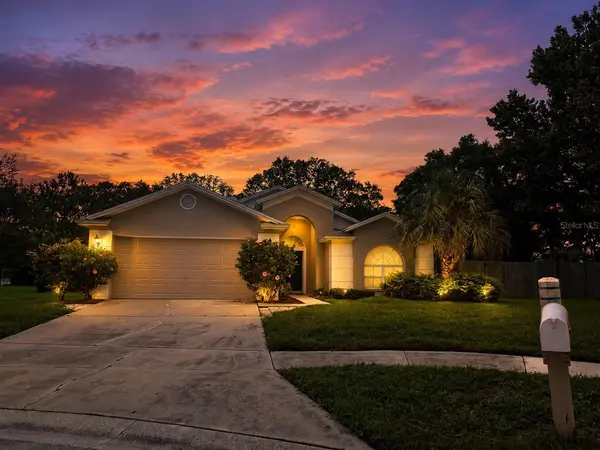 28427 SUNVALE PL, Wesley Chapel, FL 33543