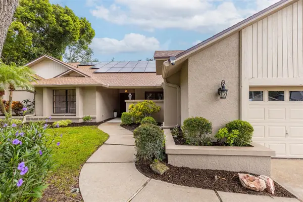 1056 ENISWOOD PKWY, Palm Harbor, FL 34683