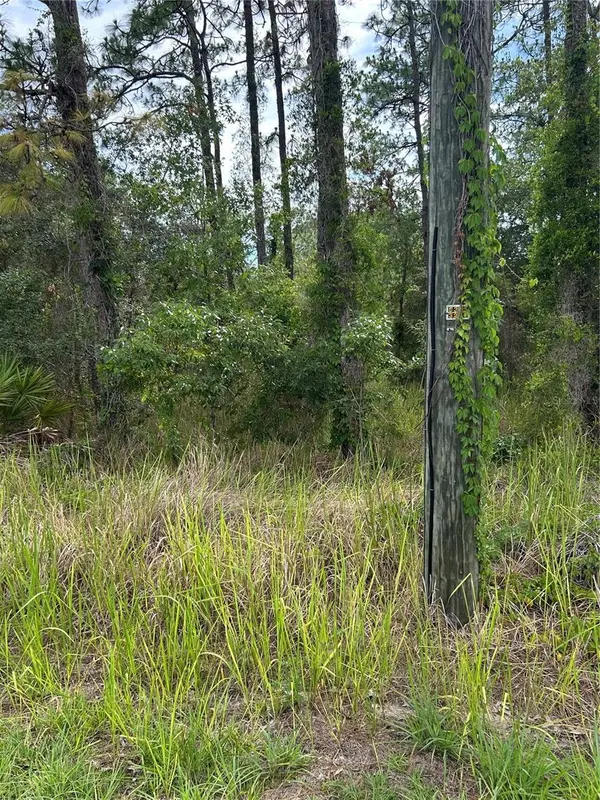 8131 NIGHTINGALE RD, Weeki Wachee, FL 34613