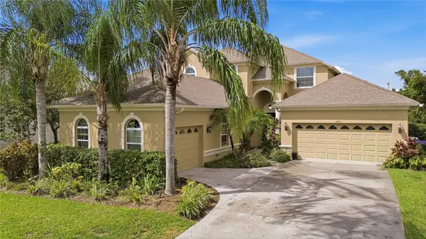 3431 DIAMOND FALLS CIR, Land O Lakes, FL 34638