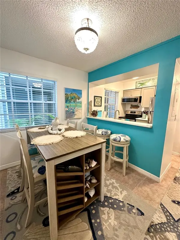 6825 STONES THROW CIR N #1107, St Petersburg, FL 33710