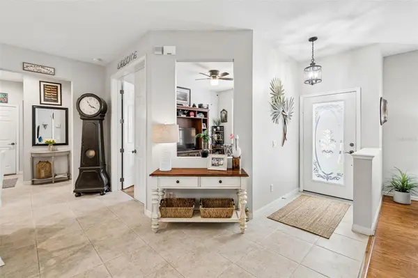 161 SHELL FALLS DR, Apollo Beach, FL 33572